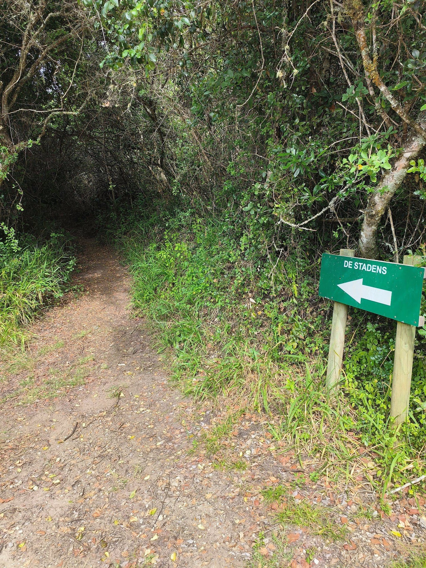  Maitlands Nature Reserve