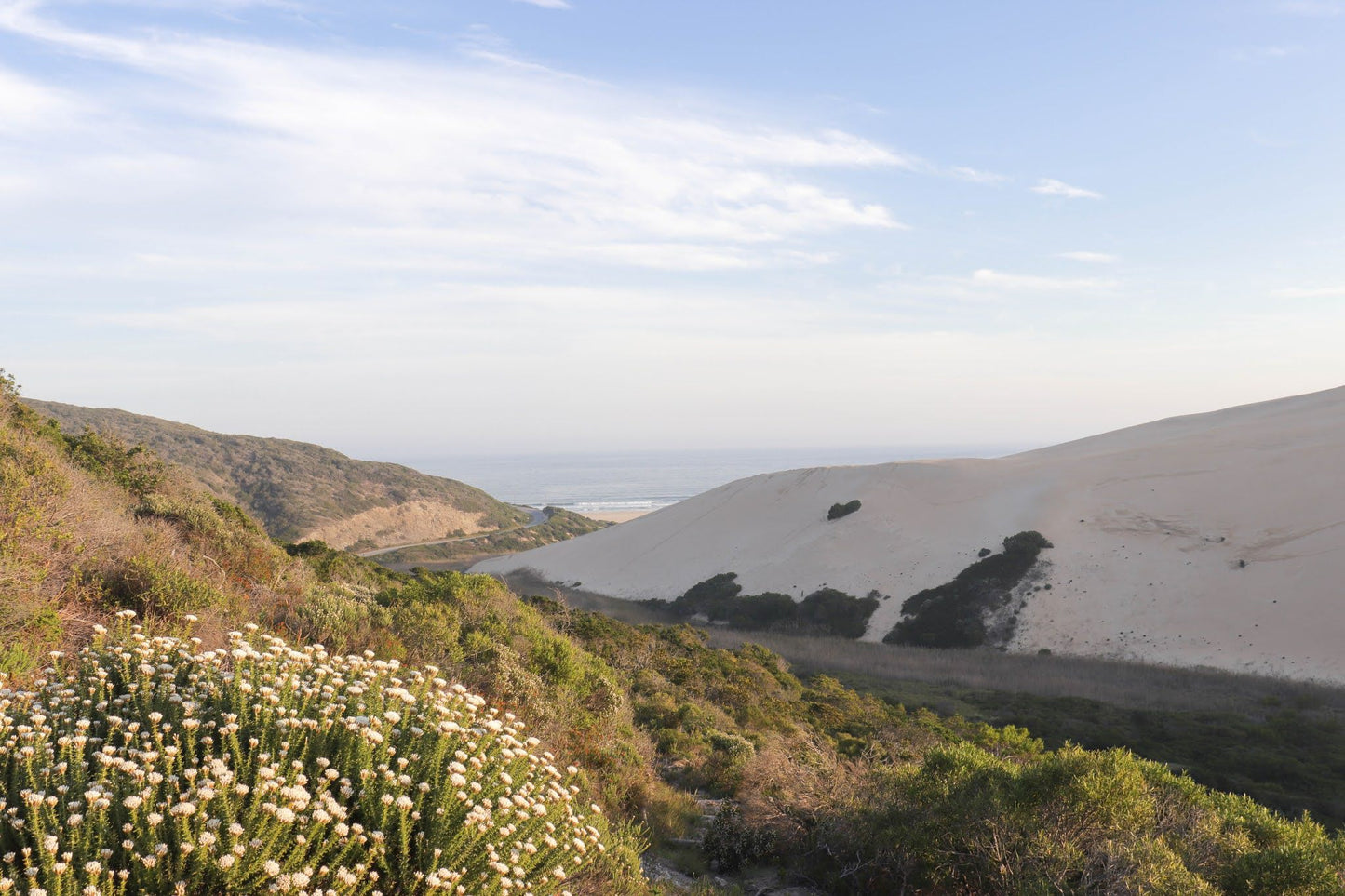  Maitlands Nature Reserve