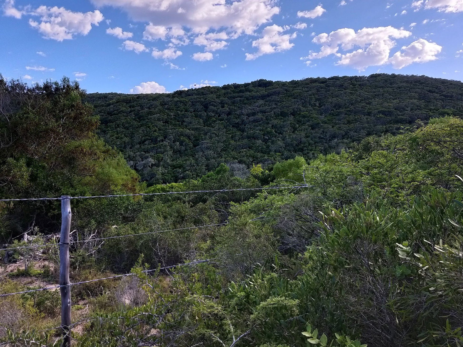  Maitlands Nature Reserve