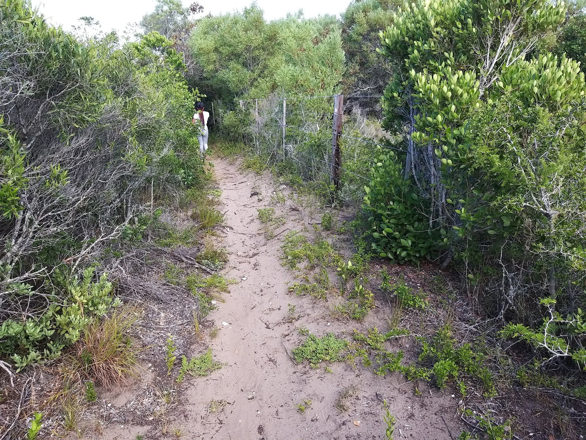  Maitlands Nature Reserve