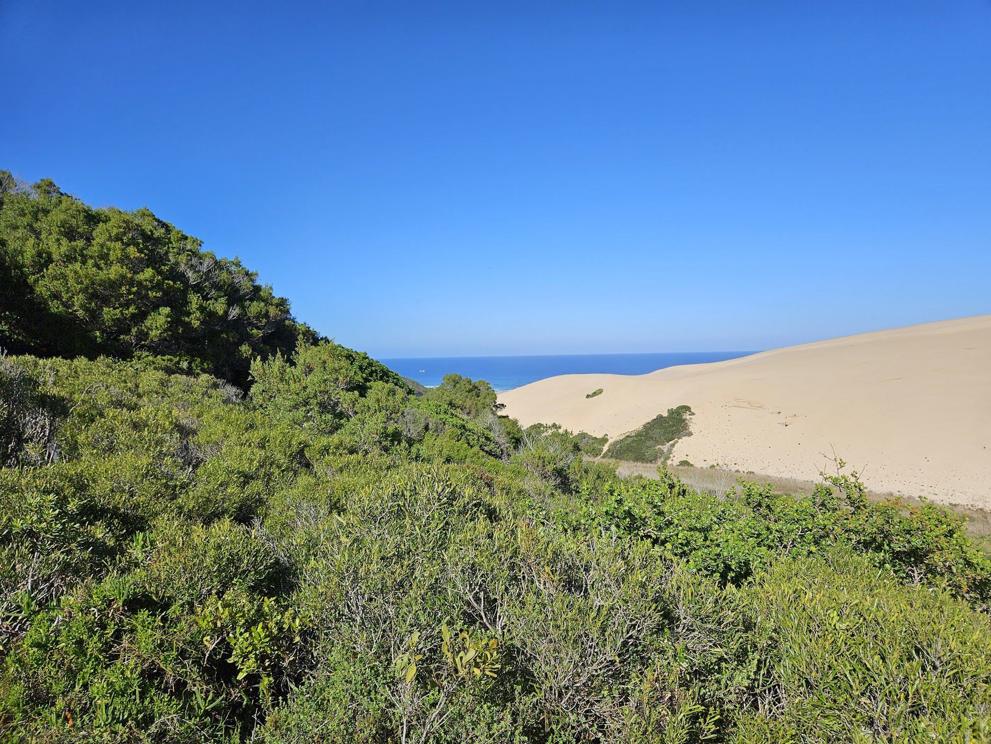  Maitlands Nature Reserve