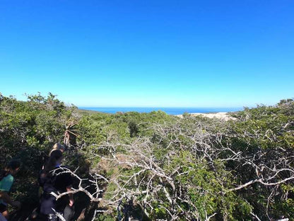  Maitlands Nature Reserve