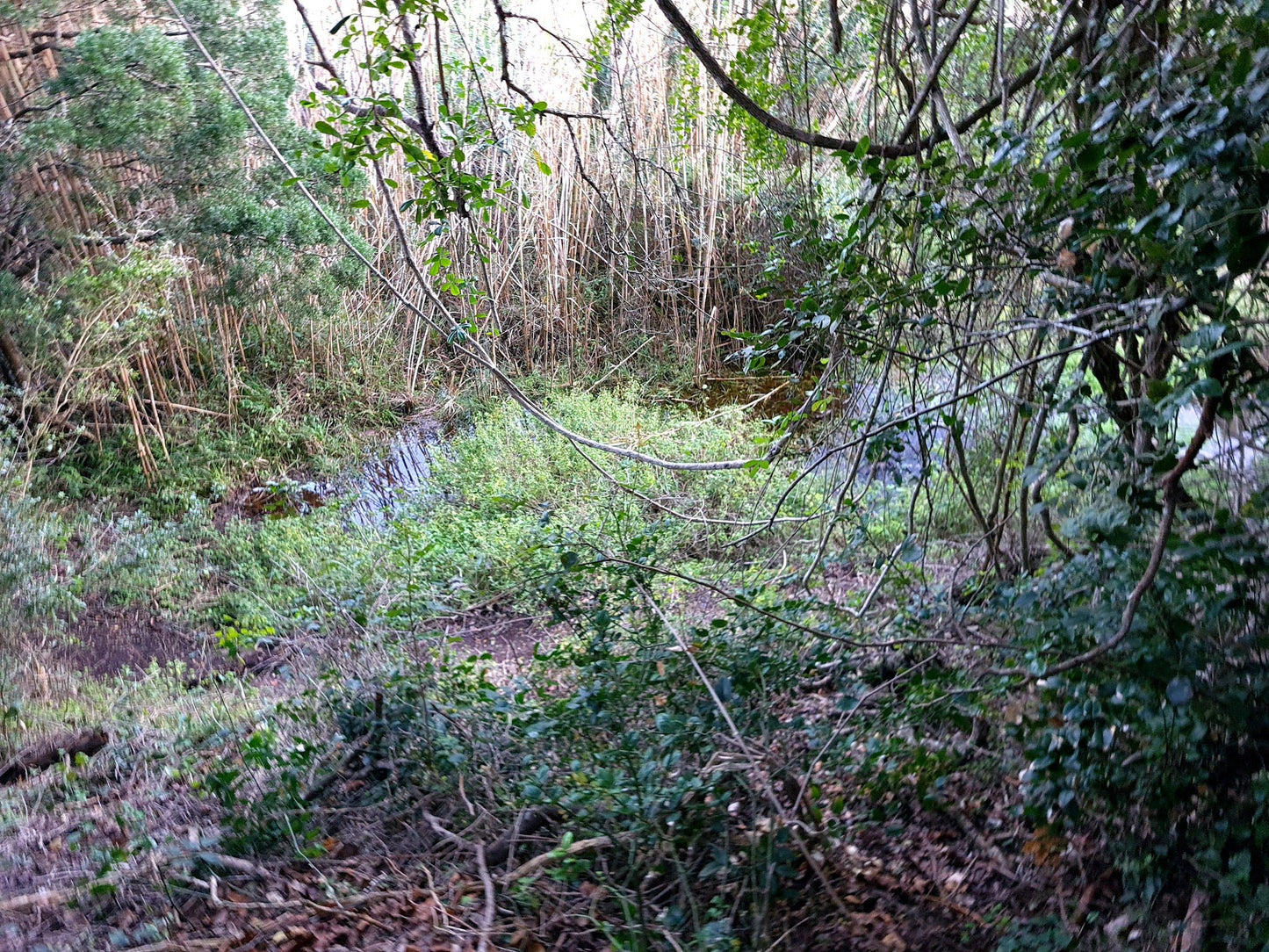  Maitlands Nature Reserve