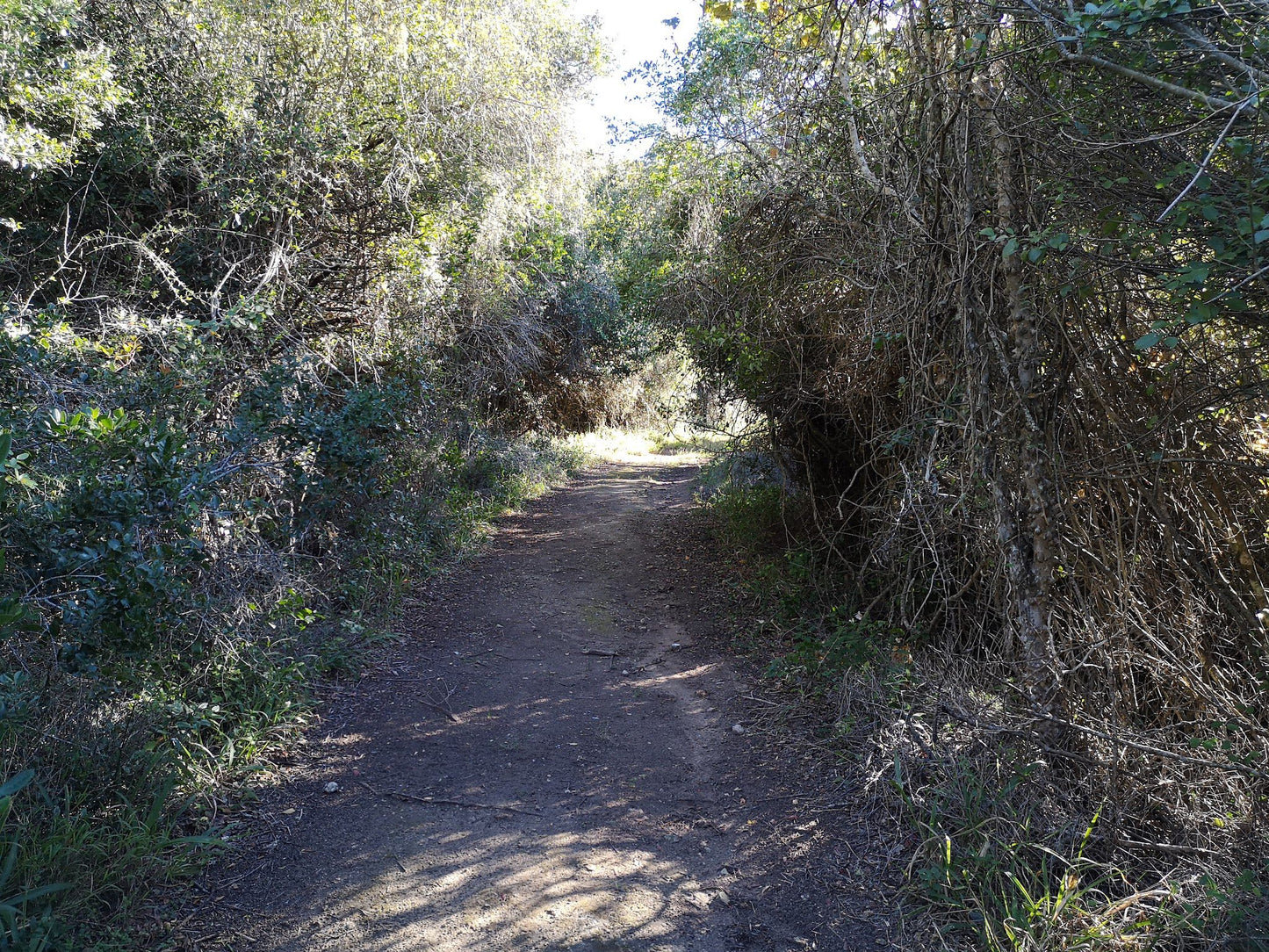  Maitlands Nature Reserve