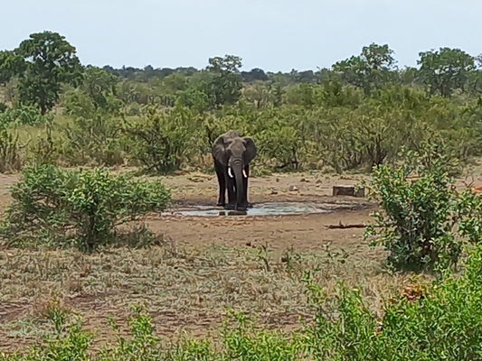  Malelane Gate @ Kruger National Park