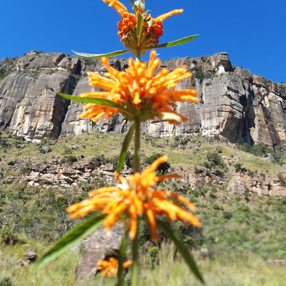  Maloti-Drakensberg Park