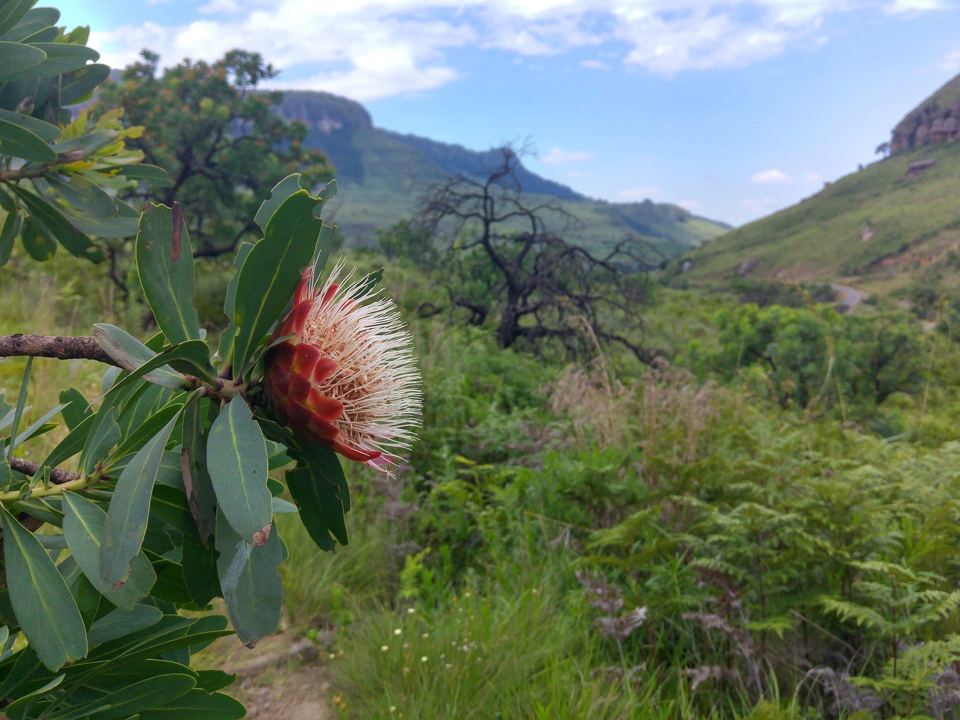  Maloti-Drakensberg Park