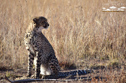  Mankwe GAMETRACKERS