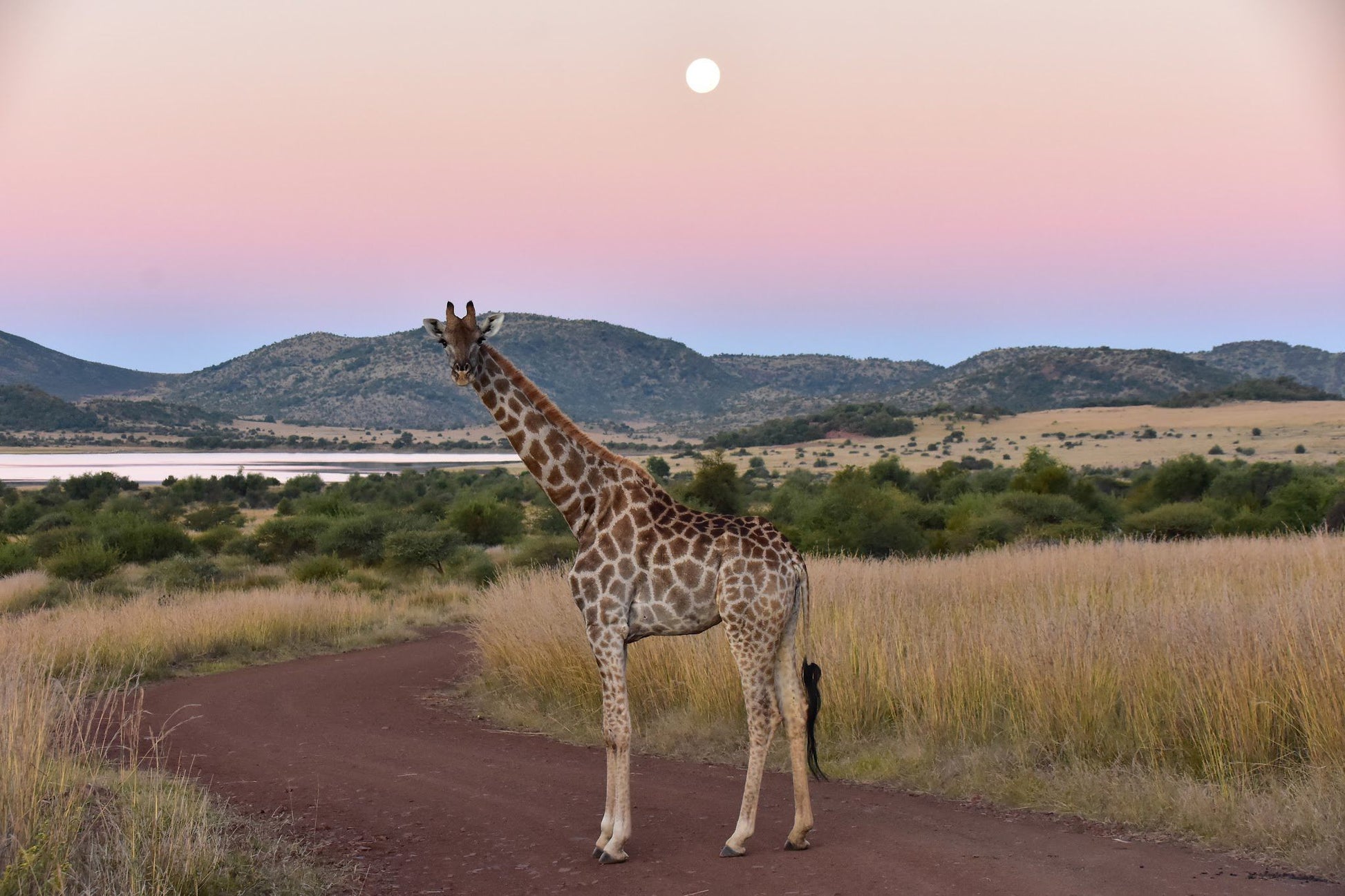  Mankwe GAMETRACKERS