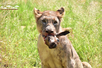  Mankwe GAMETRACKERS