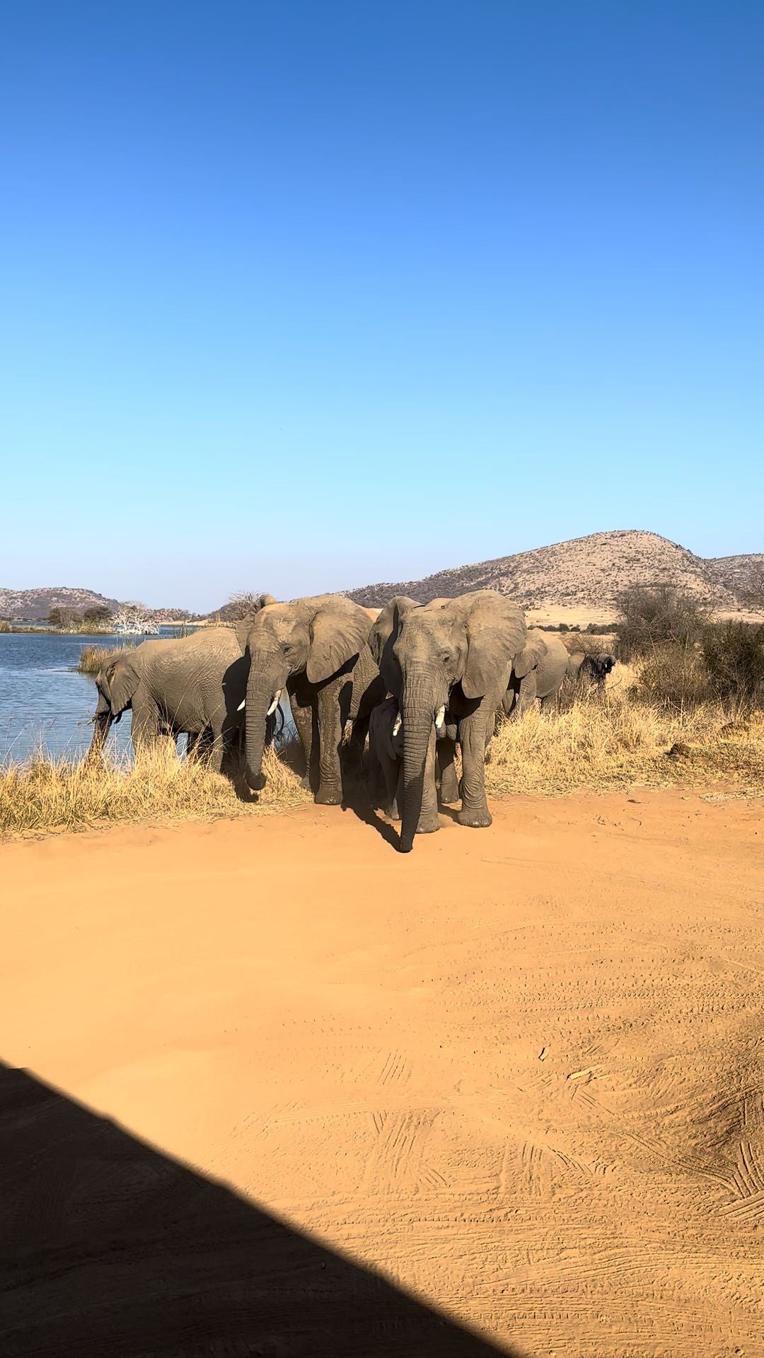  Mankwe GAMETRACKERS