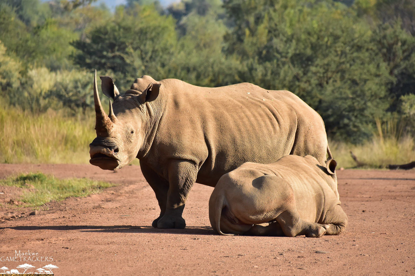  Mankwe GAMETRACKERS