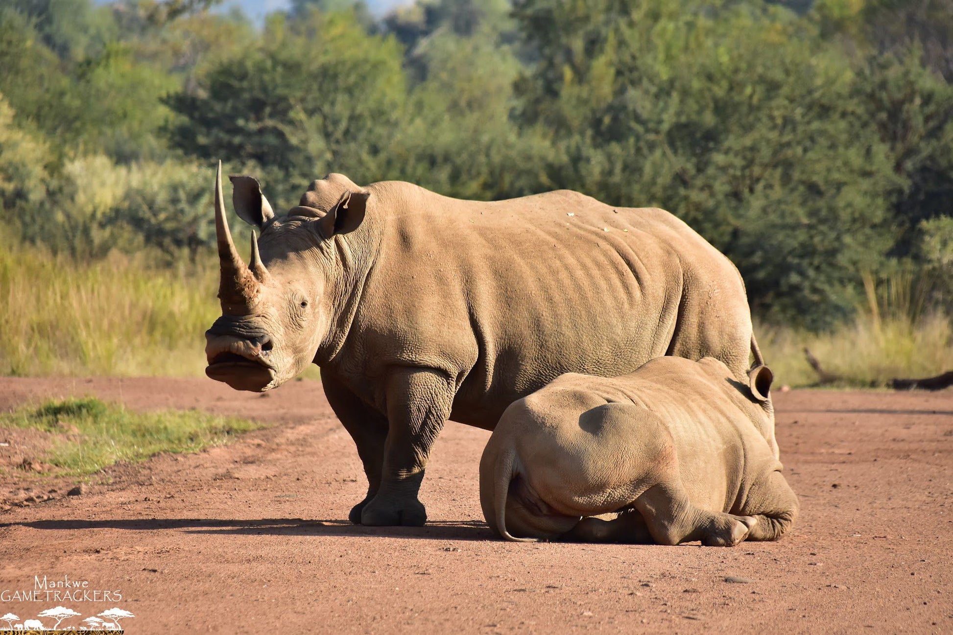  Mankwe GAMETRACKERS