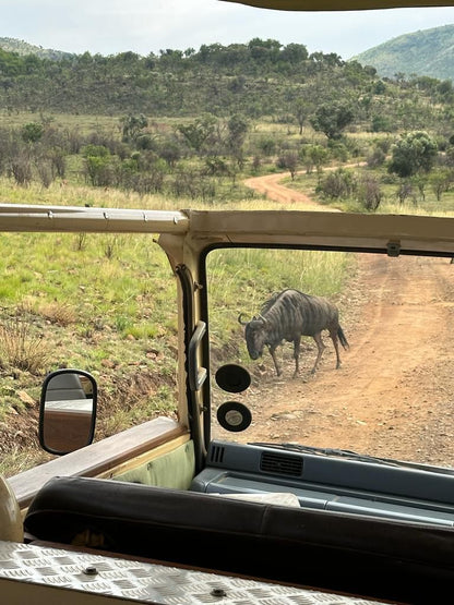  Mankwe GAMETRACKERS