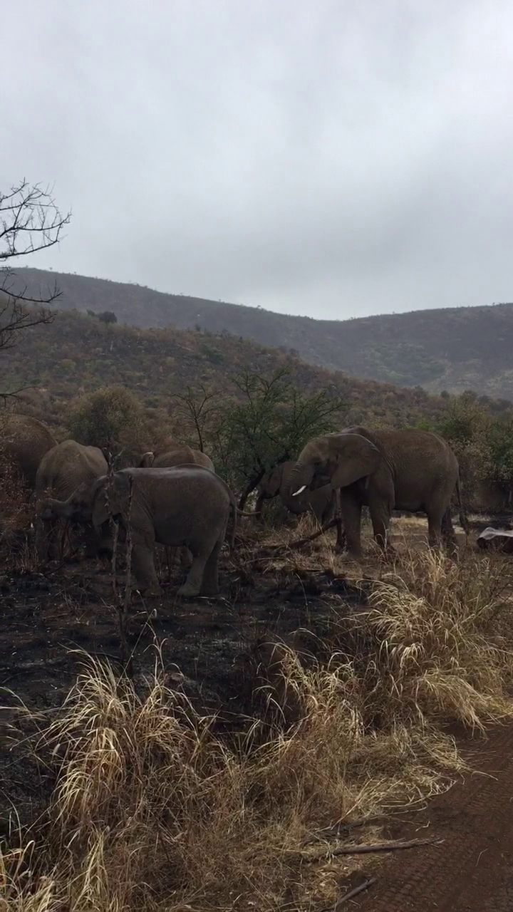  Mankwe GAMETRACKERS