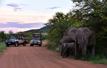  Mankwe GAMETRACKERS