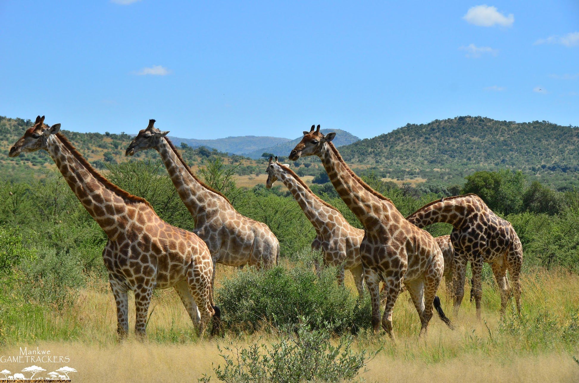  Mankwe GAMETRACKERS