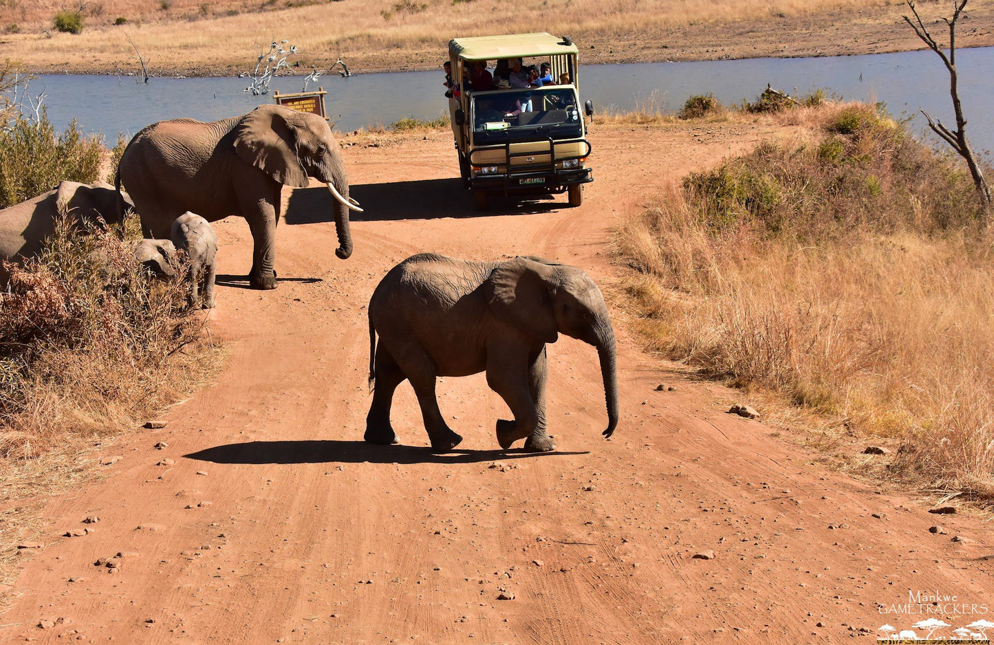  Mankwe GAMETRACKERS