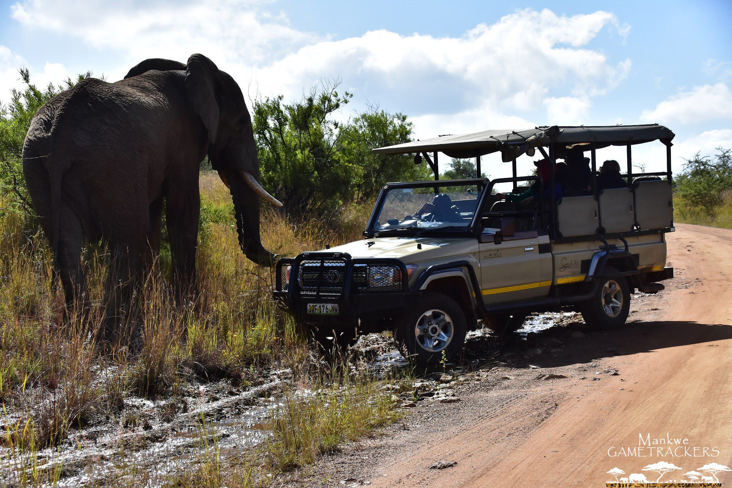  Mankwe GAMETRACKERS