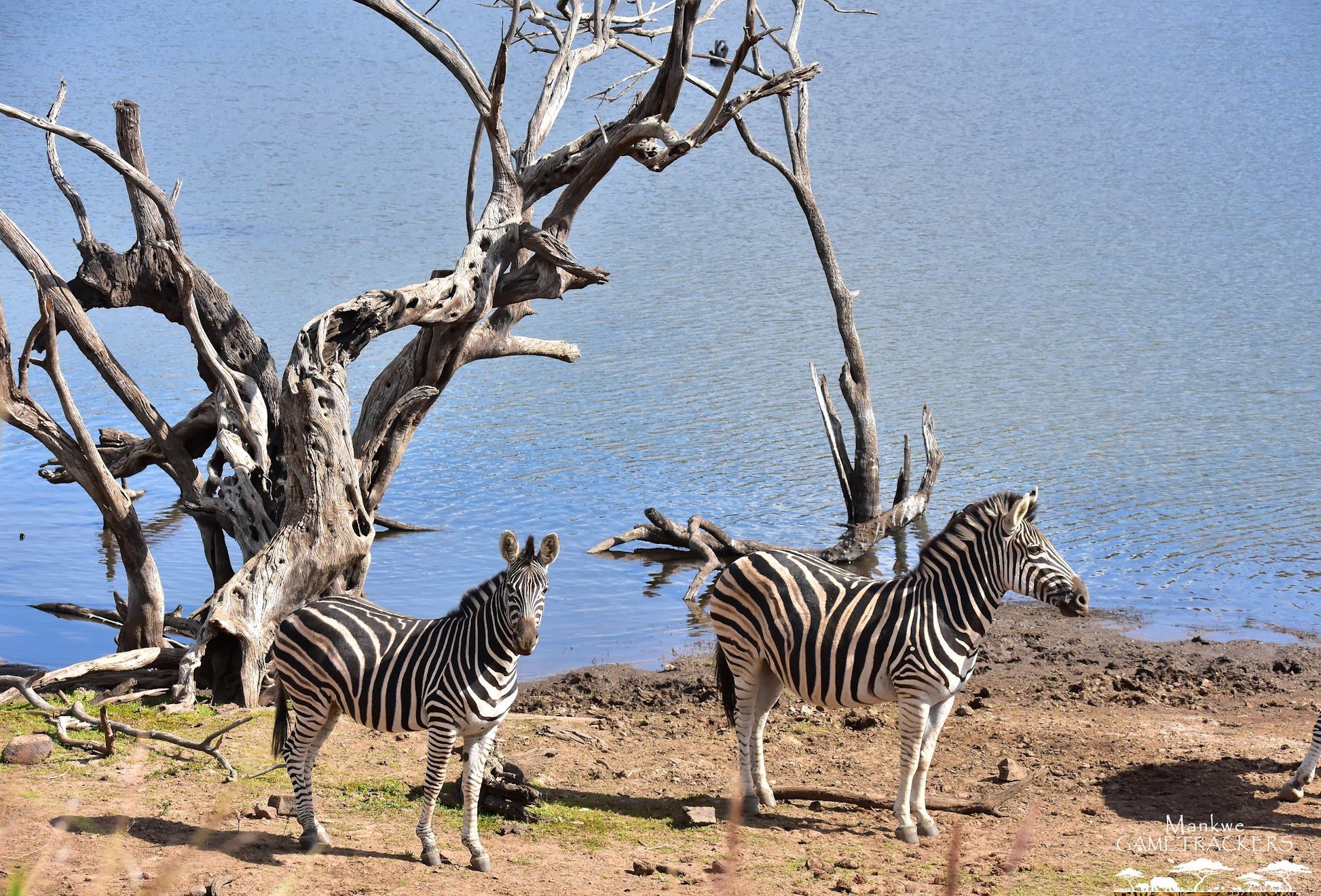  Mankwe GAMETRACKERS