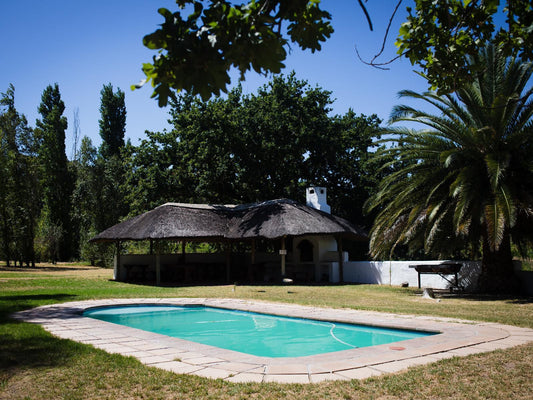 Manley Wine Lodge Tulbagh Western Cape South Africa House, Building, Architecture, Palm Tree, Plant, Nature, Wood, Swimming Pool