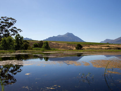 Manley Wine Lodge Tulbagh Western Cape South Africa Mountain, Nature