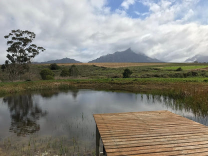 Manley Wine Lodge Tulbagh Western Cape South Africa Mountain, Nature, Highland