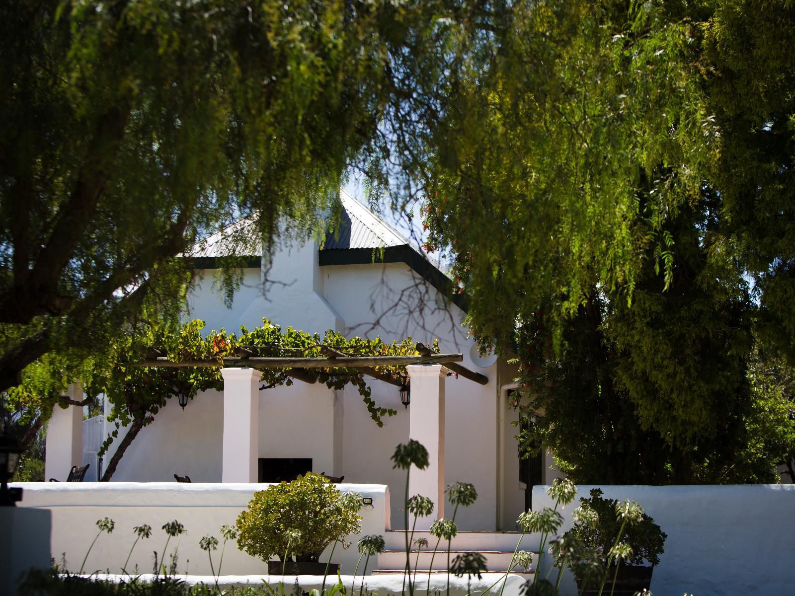 Manley Wine Lodge Tulbagh Western Cape South Africa House, Building, Architecture, Palm Tree, Plant, Nature, Wood