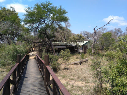  Manyeleti Game Reserve