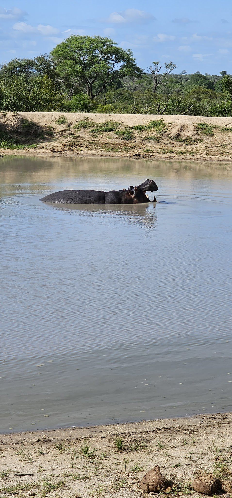  Manyeleti Game Reserve