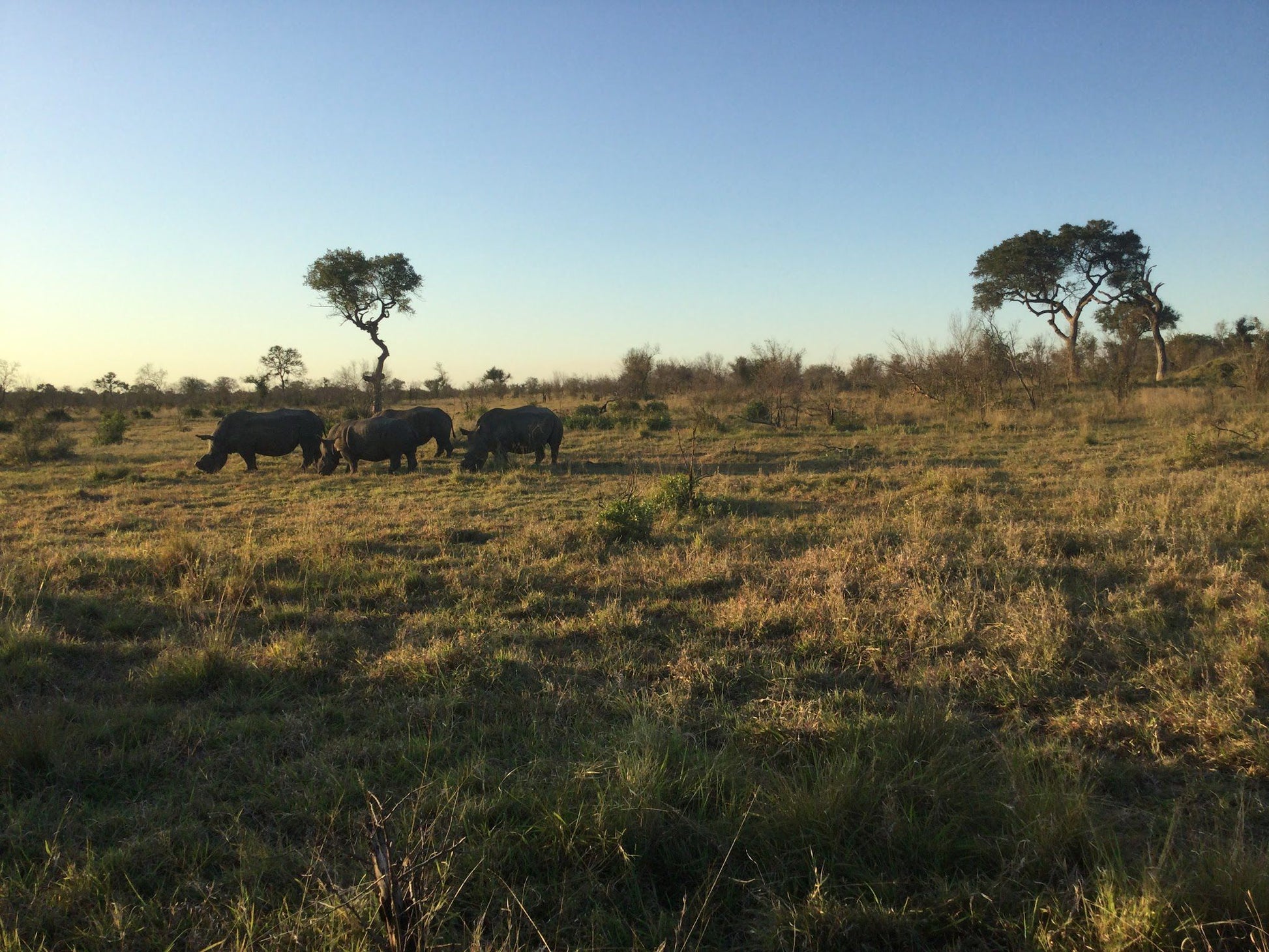  Manyeleti Game Reserve