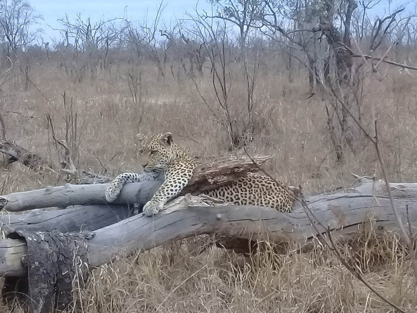  Manyeleti Game Reserve