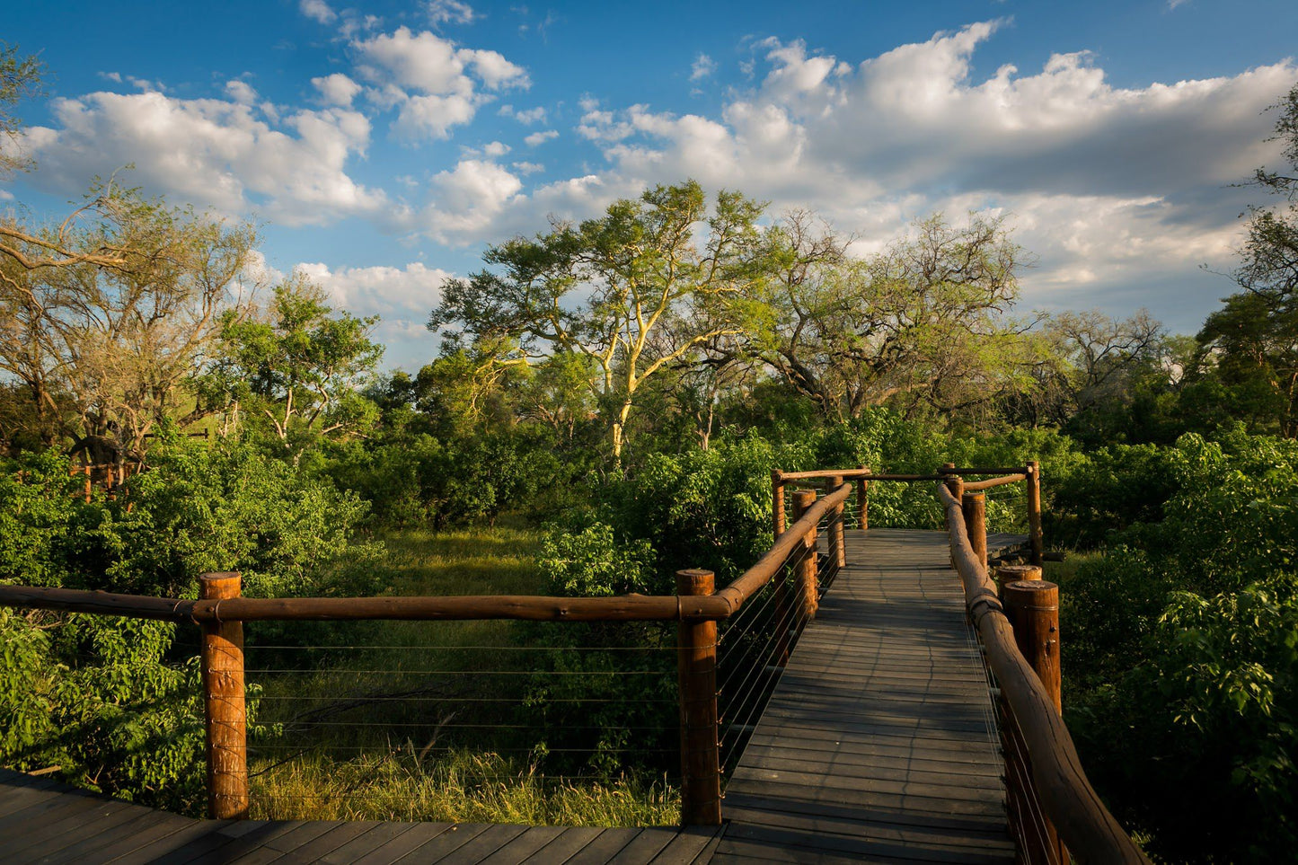  Mapesu Private Game Reserve