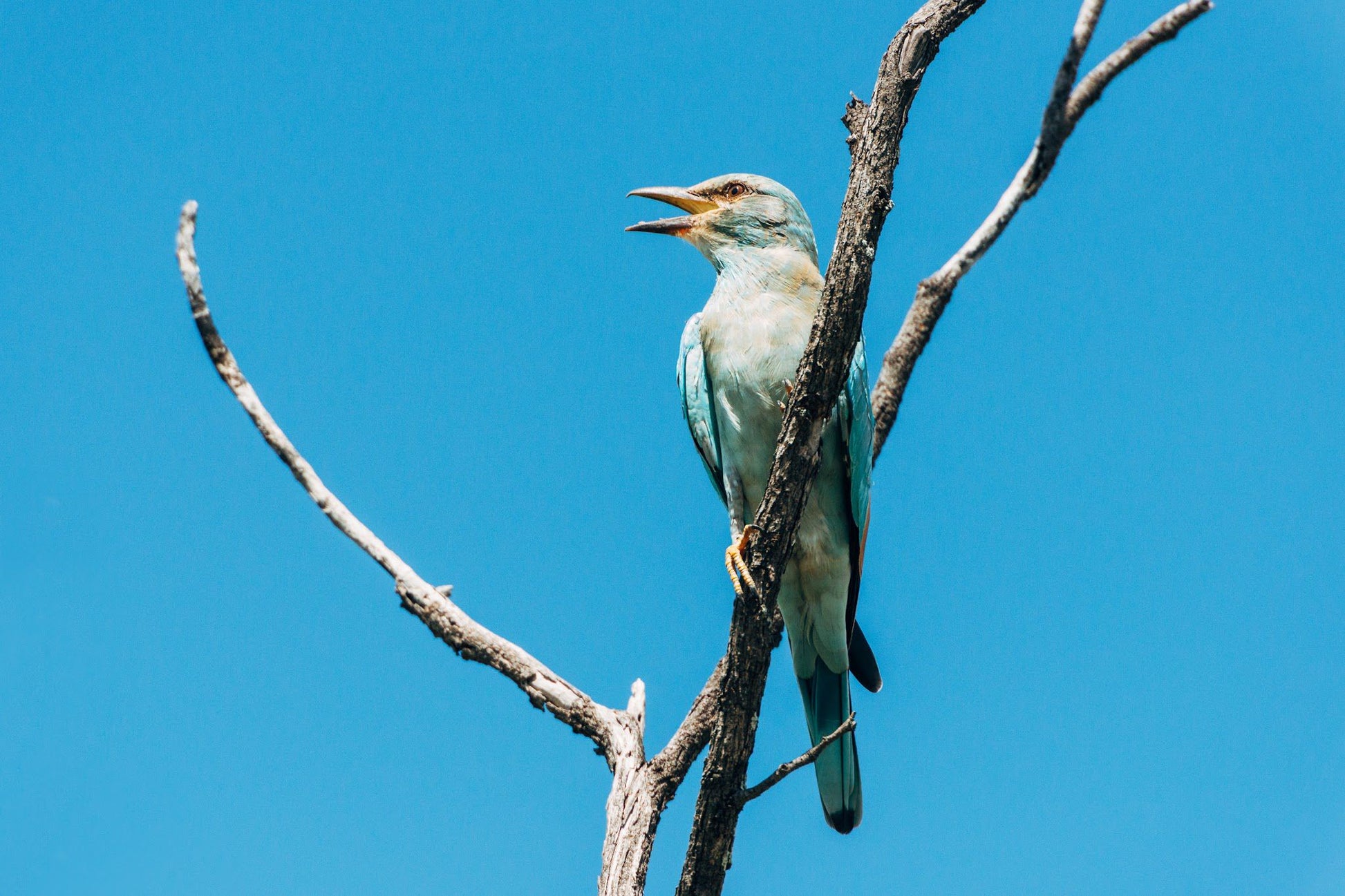  Mapesu Private Game Reserve