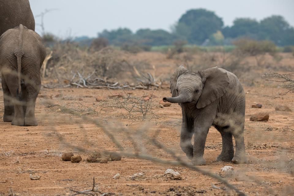  Mapesu Private Game Reserve