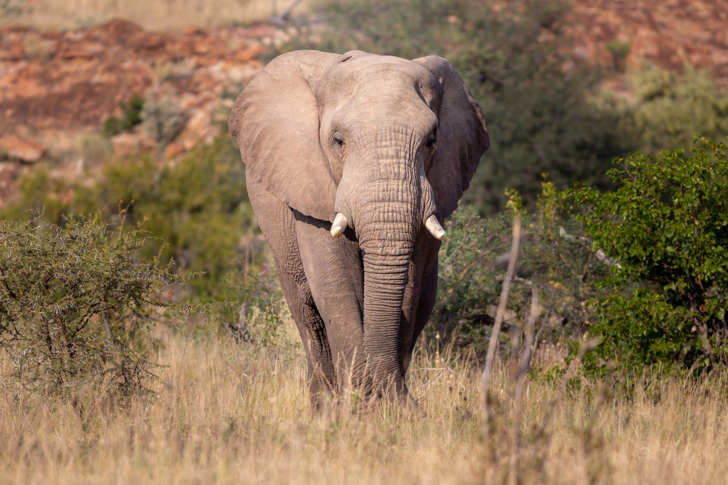  Mapesu Private Game Reserve