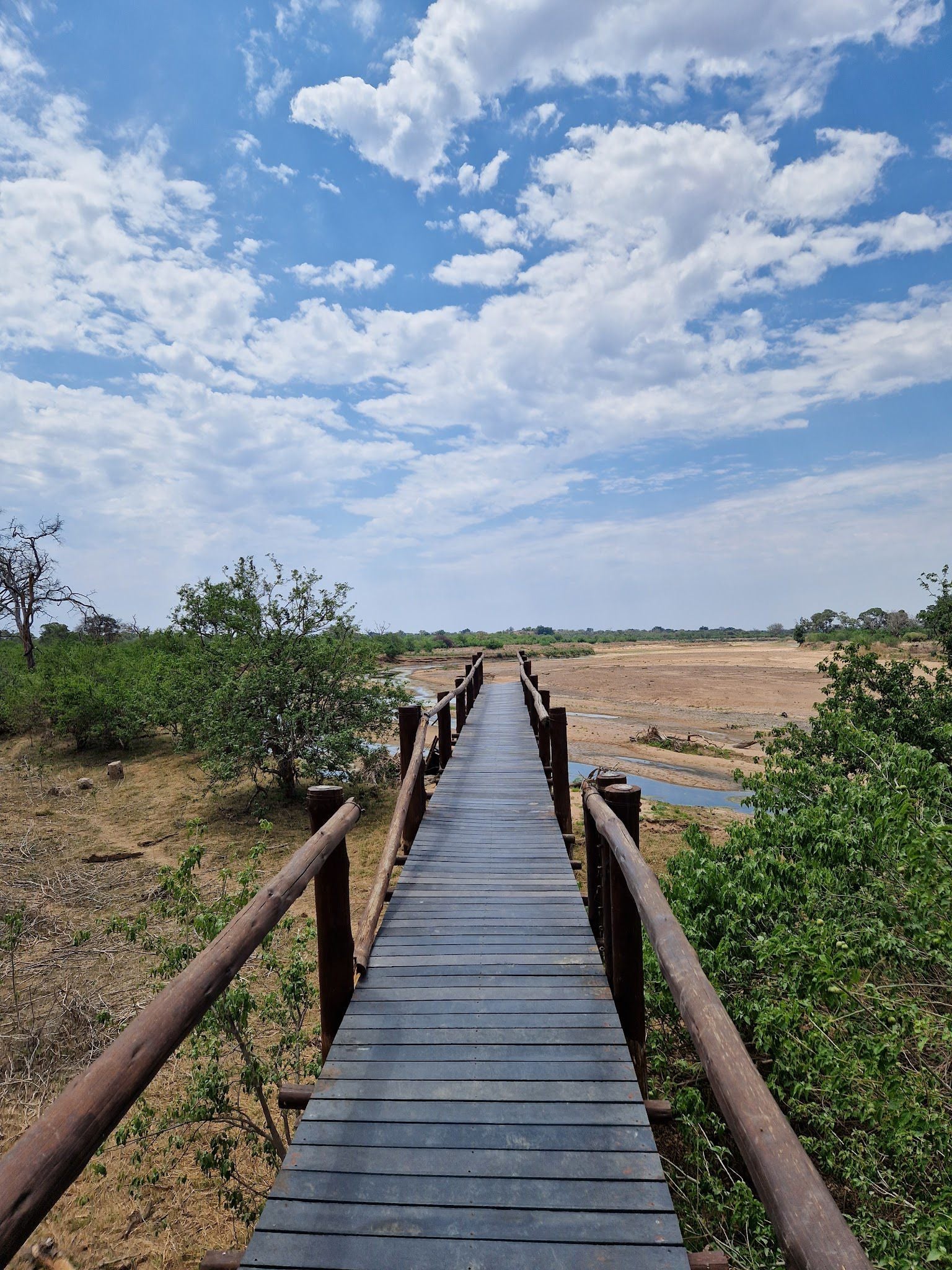  Mapungubwe National Park