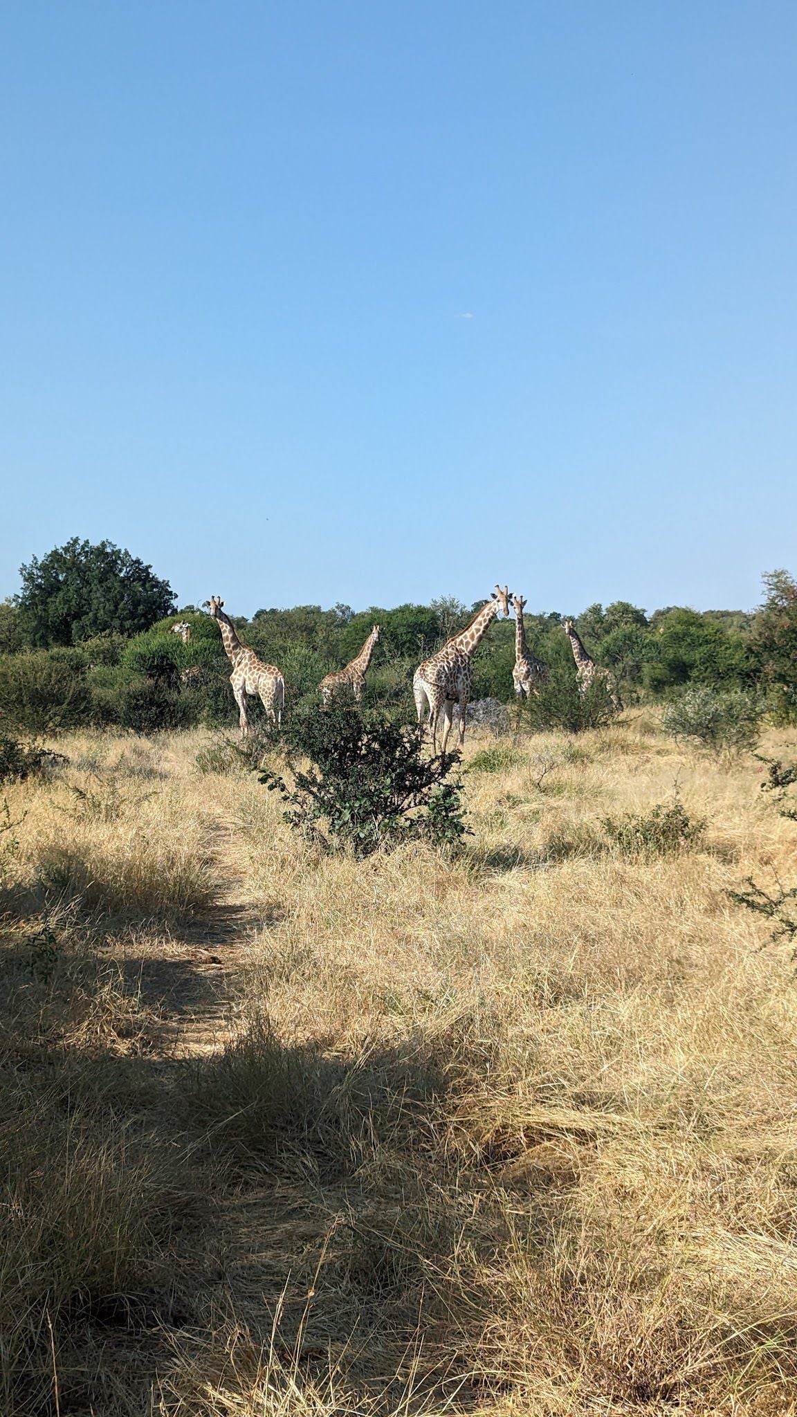  Mapungubwe National Park