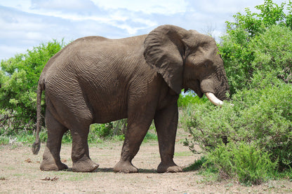  Mapungubwe National Park