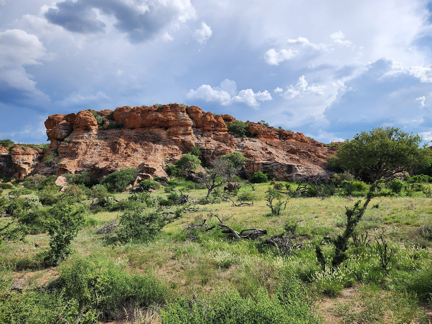  Mapungubwe National Park