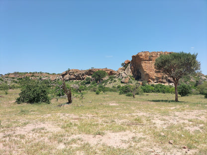  Mapungubwe National Park