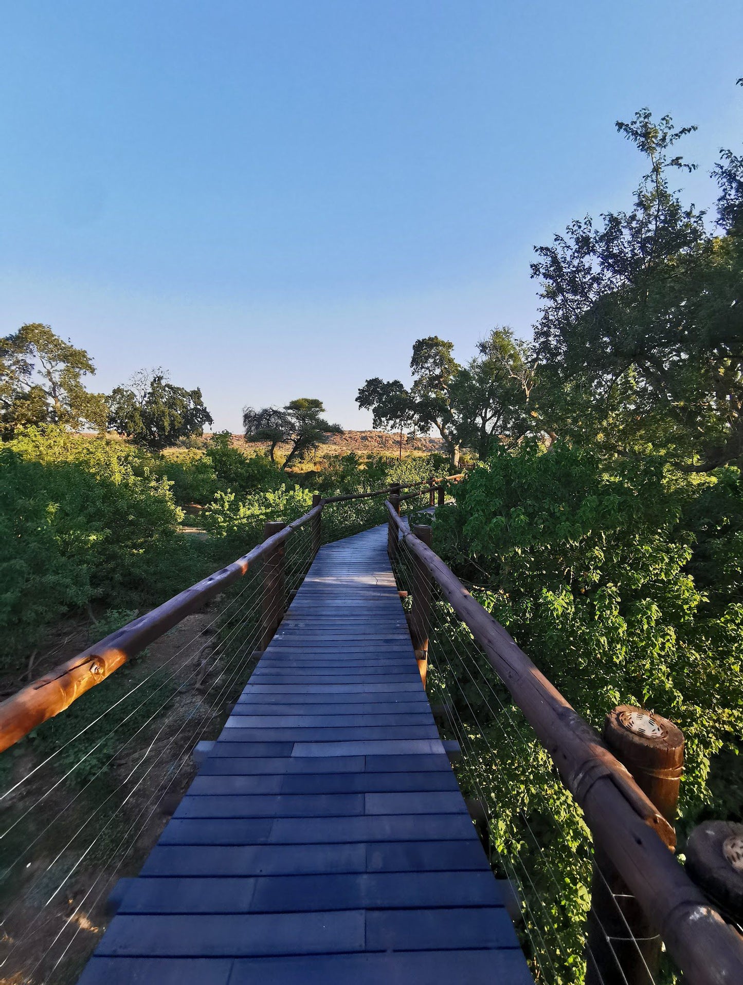  Mapungubwe National Park