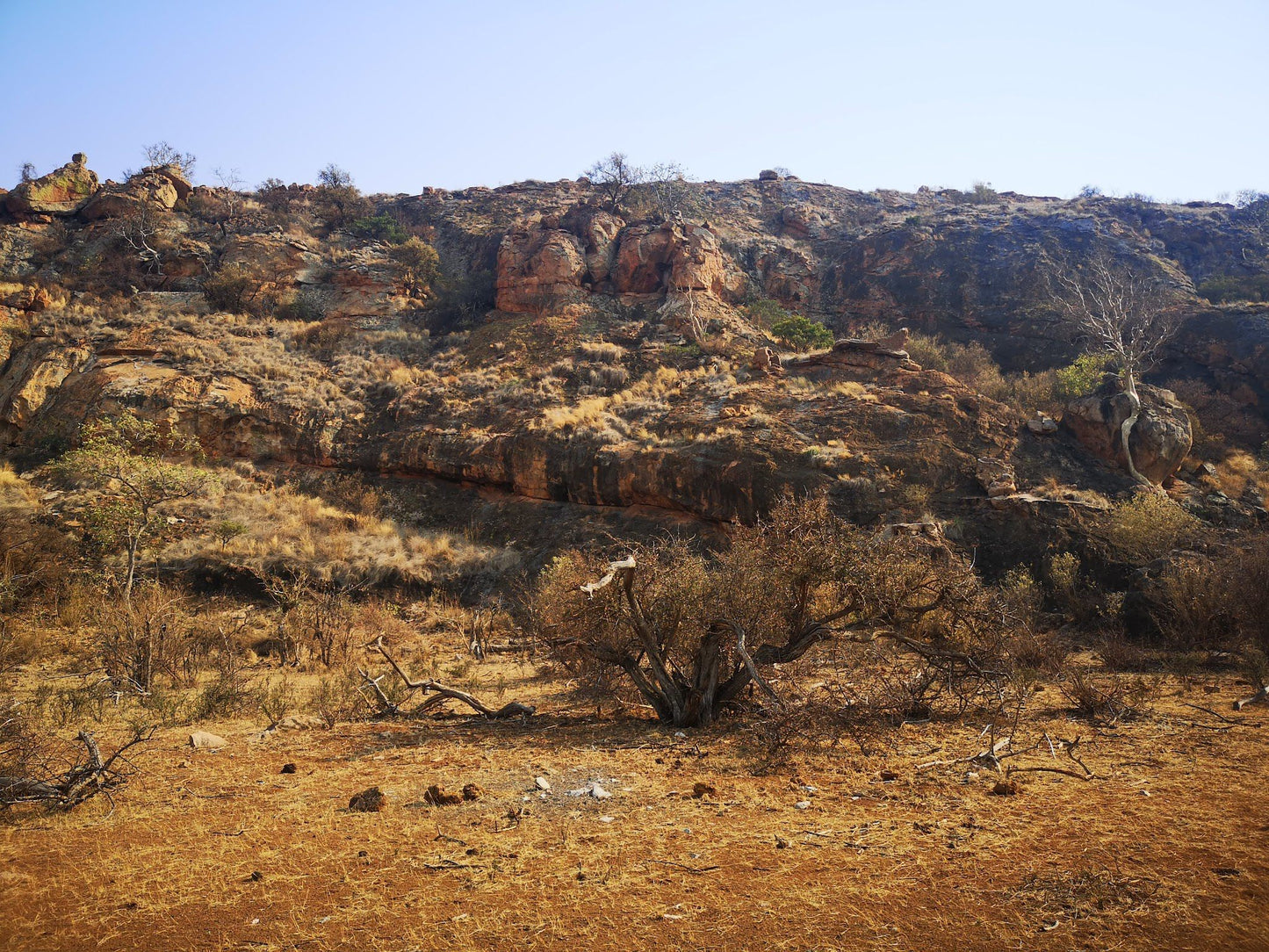  Mapungubwe National Park