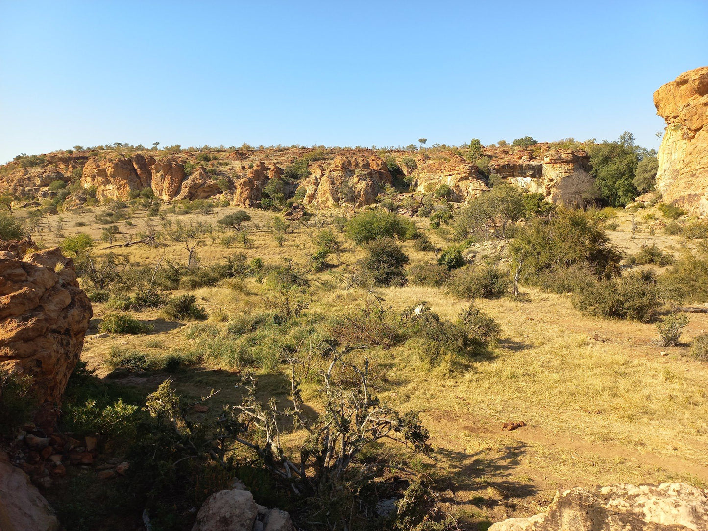  Mapungubwe National Park