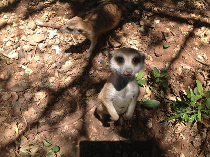  Marakele Animal Sanctuary