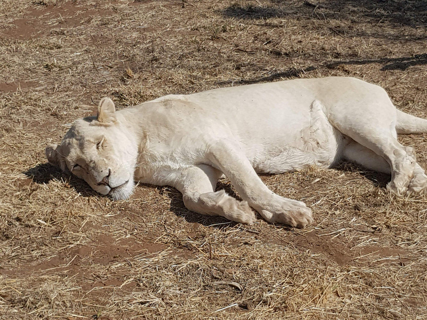  Marakele Animal Sanctuary