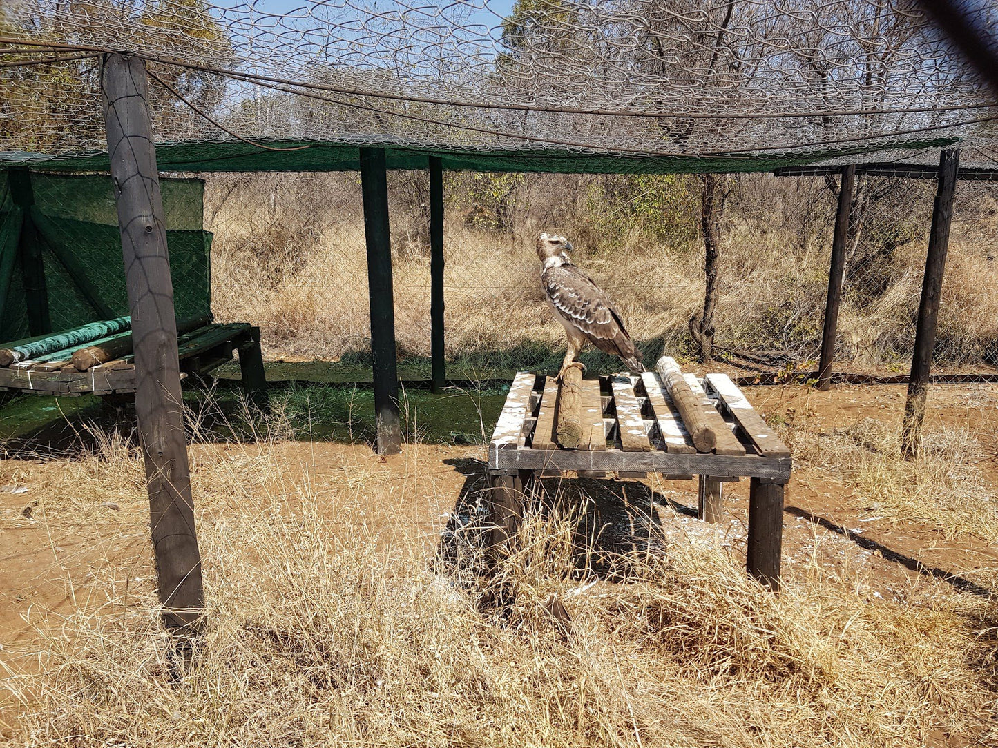  Marakele Animal Sanctuary