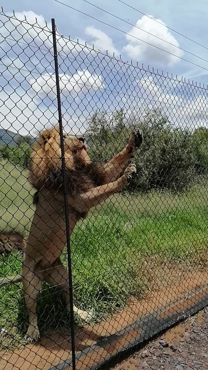  Marakele Animal Sanctuary