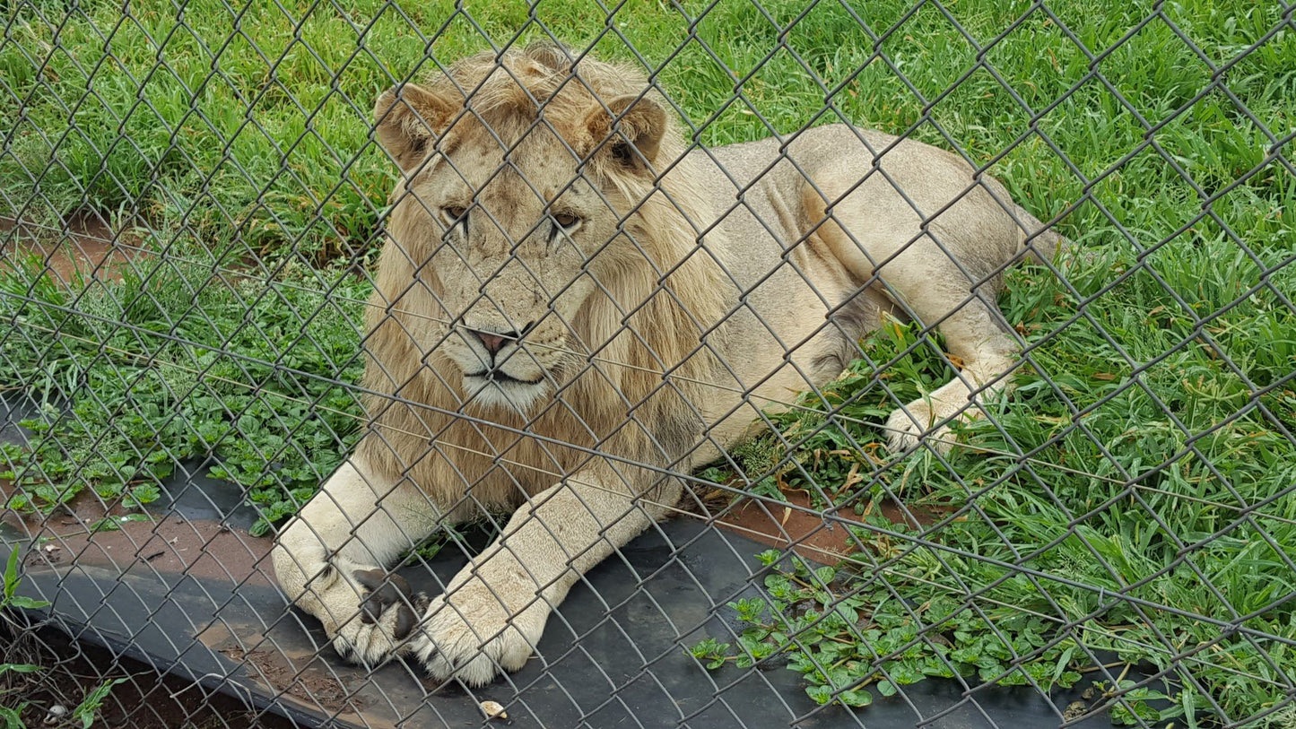  Marakele Animal Sanctuary