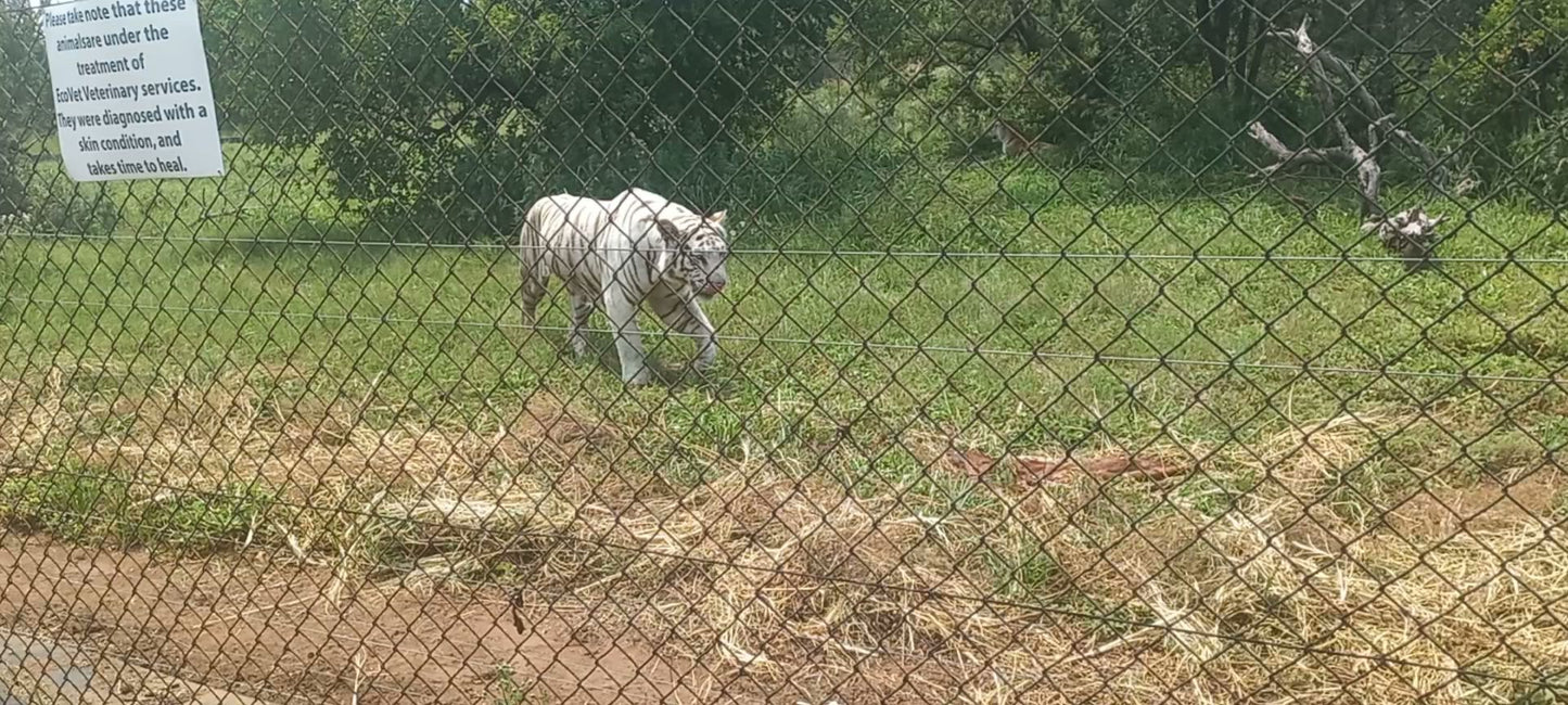  Marakele Animal Sanctuary